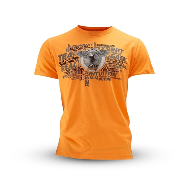 Picture of T-shirt, man, orange,wording