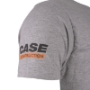 Picture of T-Shirt "Eagle", grey, (Mens)
